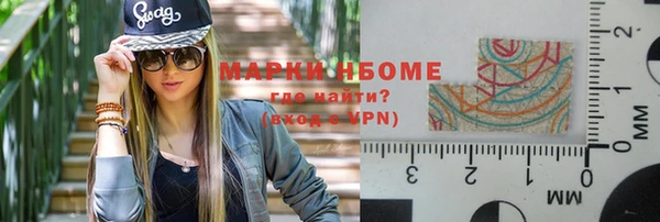 PSILOCYBIN Бородино