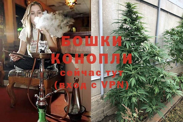 ГАЛЛЮЦИНОГЕННЫЕ ГРИБЫ Бугульма
