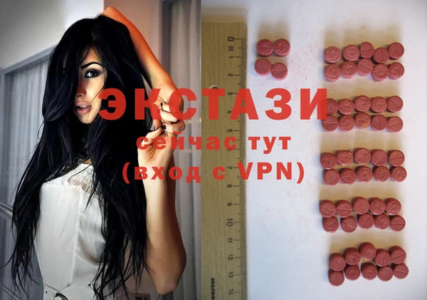 гашик Богданович