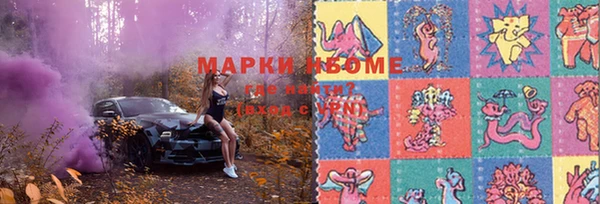 PSILOCYBIN Бородино