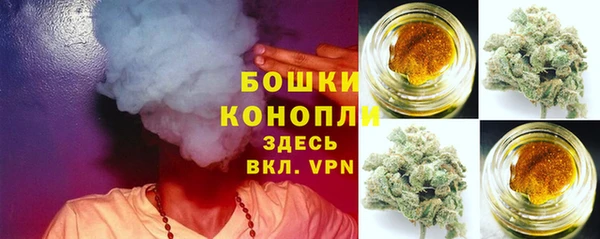 ГАЛЛЮЦИНОГЕННЫЕ ГРИБЫ Бугульма