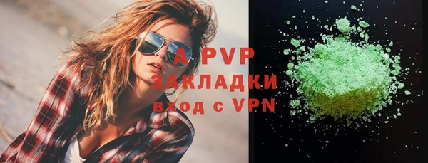 PSILOCYBIN Бородино