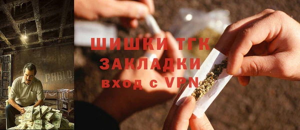 PSILOCYBIN Бородино