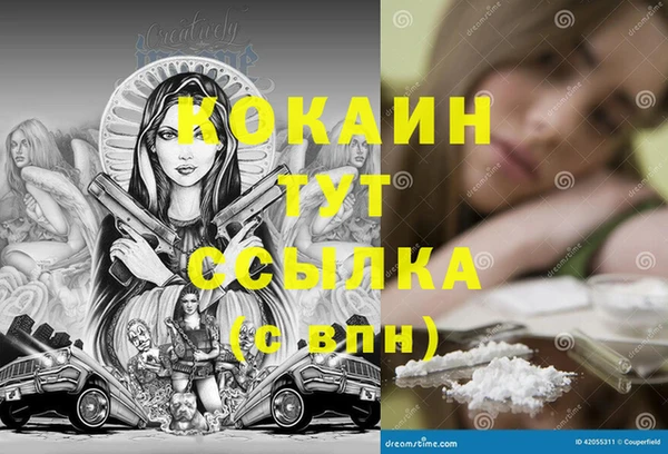 PSILOCYBIN Бородино
